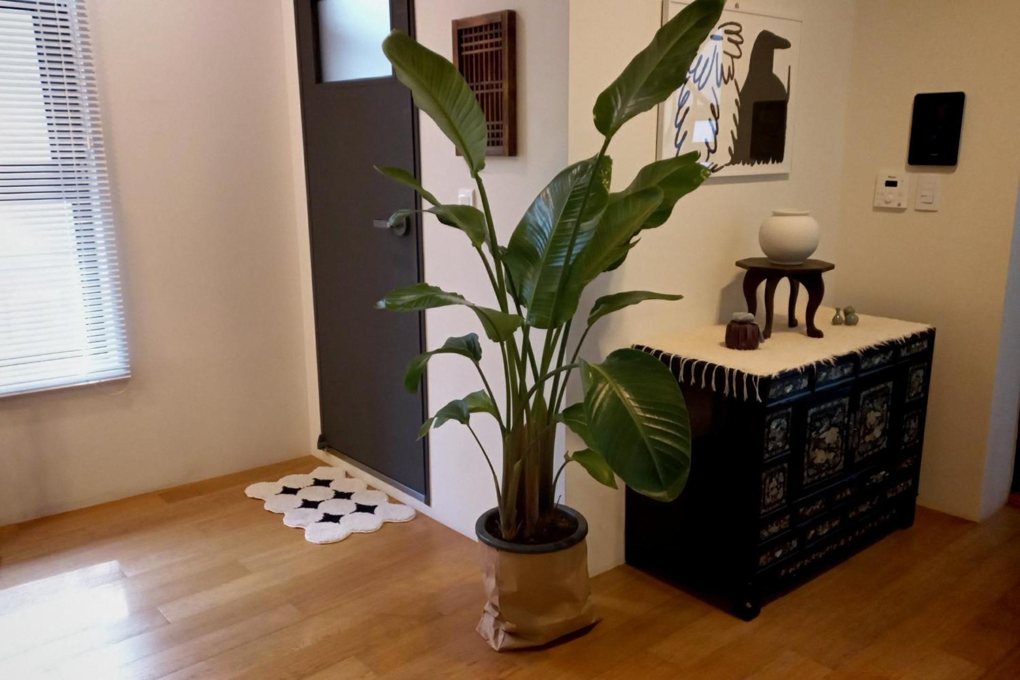 Korean Traditional Terrace House Seul Zewnętrze zdjęcie